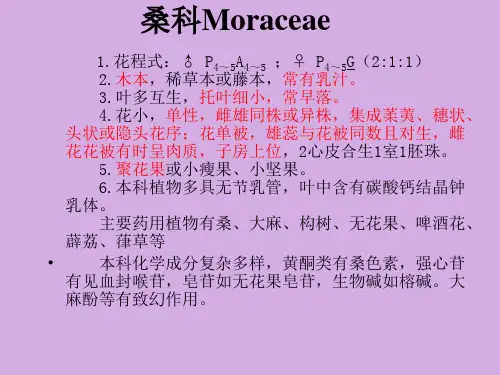 桑科