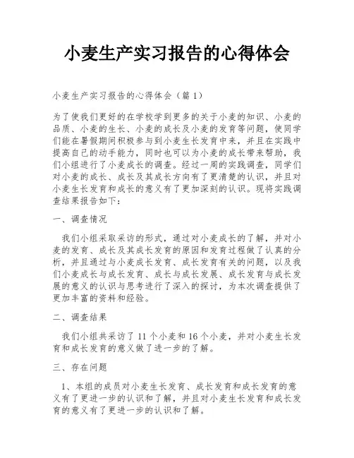 小麦生产实习报告的心得体会