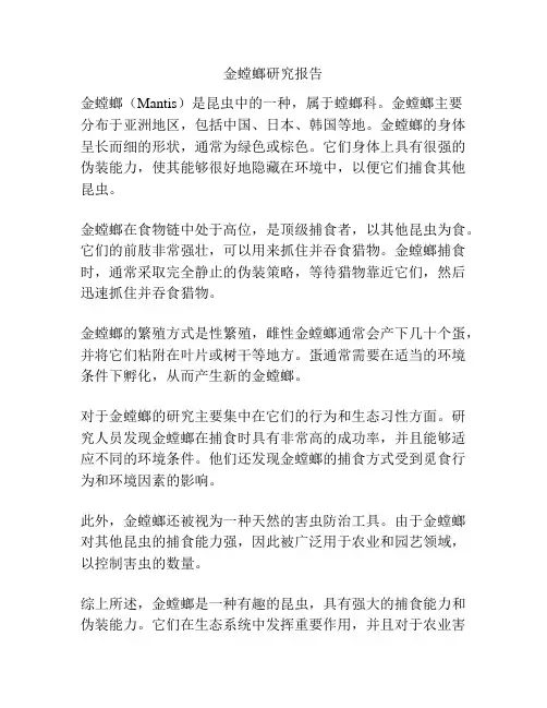 金螳螂研究报告
