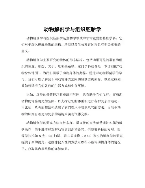 动物解剖学与组织胚胎学
