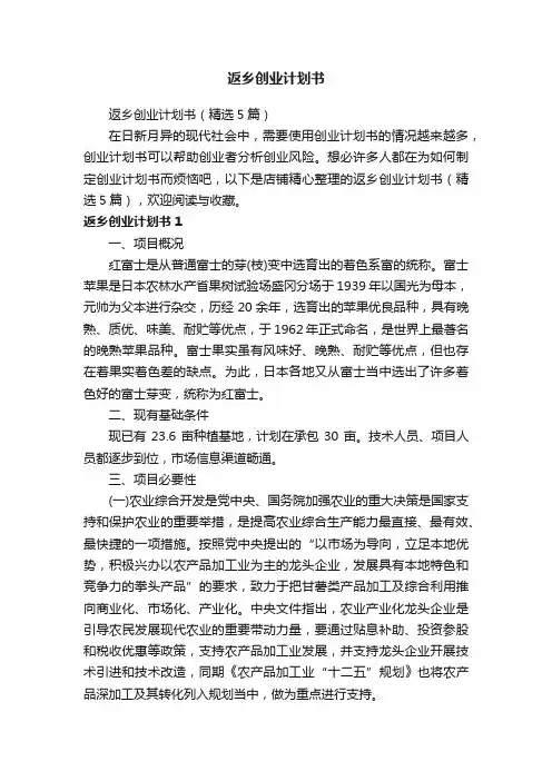 返乡创业计划书