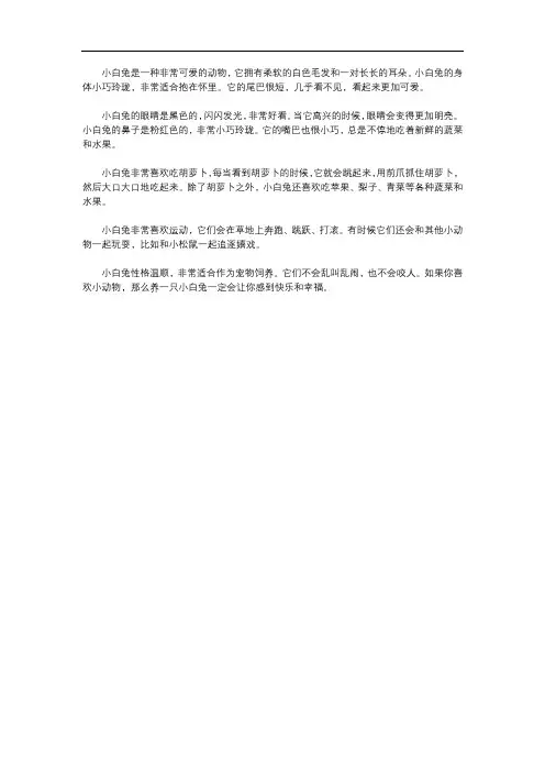 介绍一种事物,小白兔400字