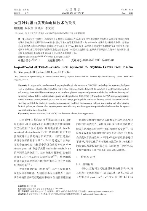 大豆叶片蛋白质双向电泳技术的改良