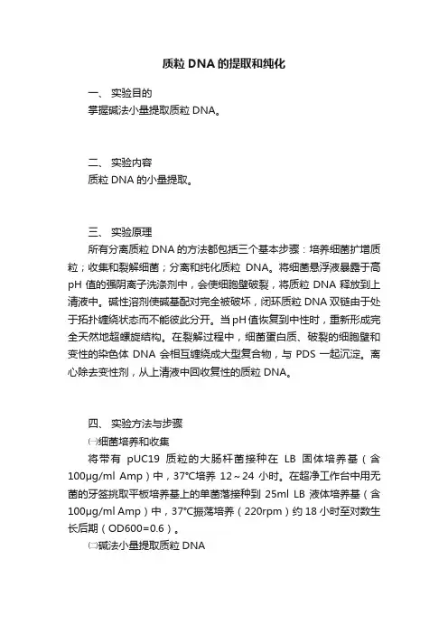 质粒DNA的提取和纯化