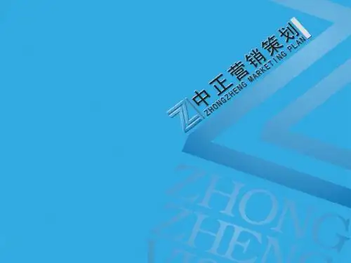 中正营销策划有限公司简介(市场调研)
