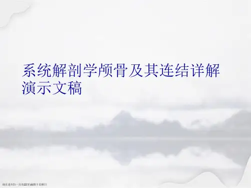 系统解剖学颅骨及其连结详解演示文稿