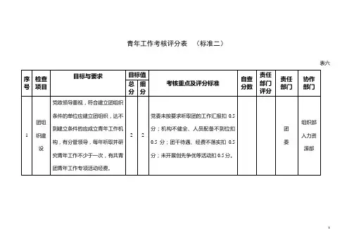 共青团工作目标管理考核评分表(标准二)