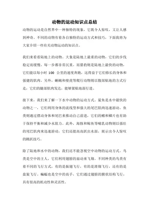 动物的运动知识点总结