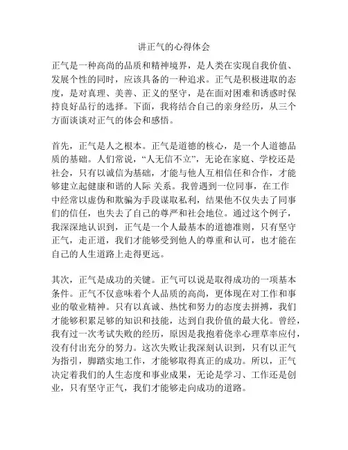讲正气的心得体会