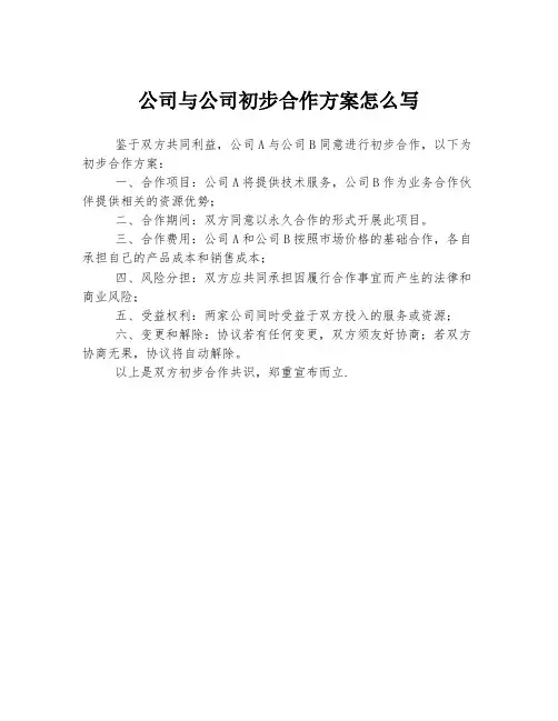 公司与公司初步合作方案怎么写