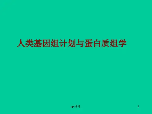 人类基因组计划与蛋白质组学ppt课件