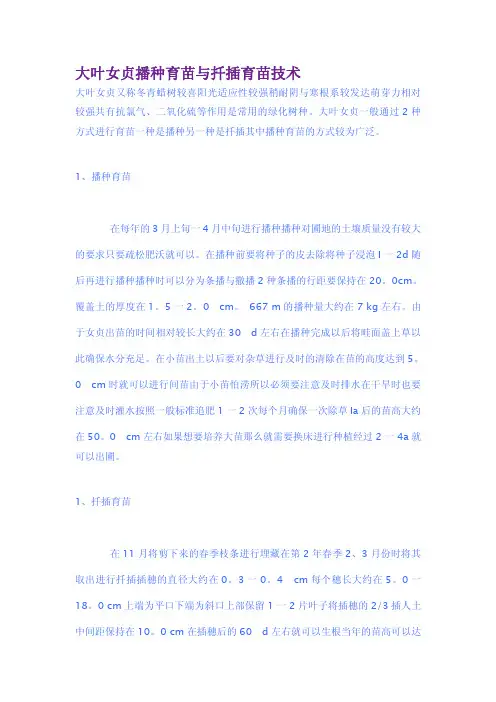 大叶女贞播种育苗与扦插育苗技术