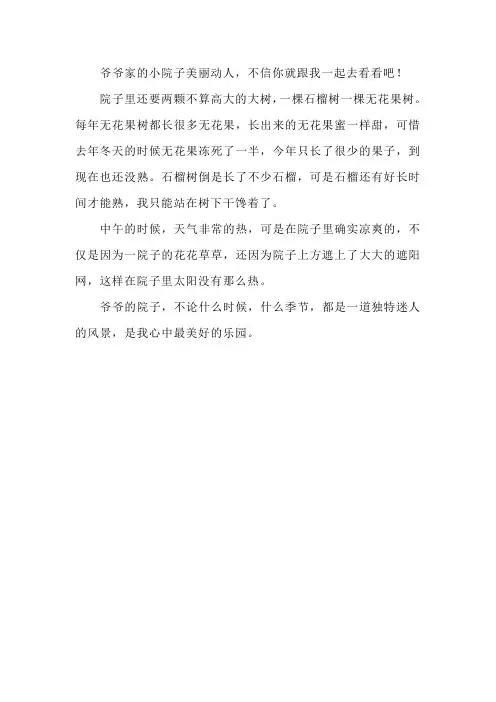 爷爷的小院400字作文四年级上册语文