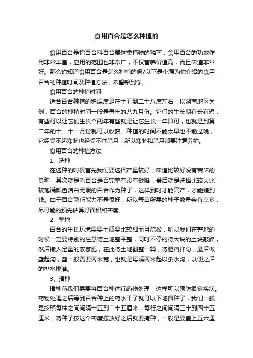 食用百合是怎么种植的