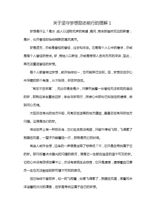 关于坚守梦想励志前行的理解