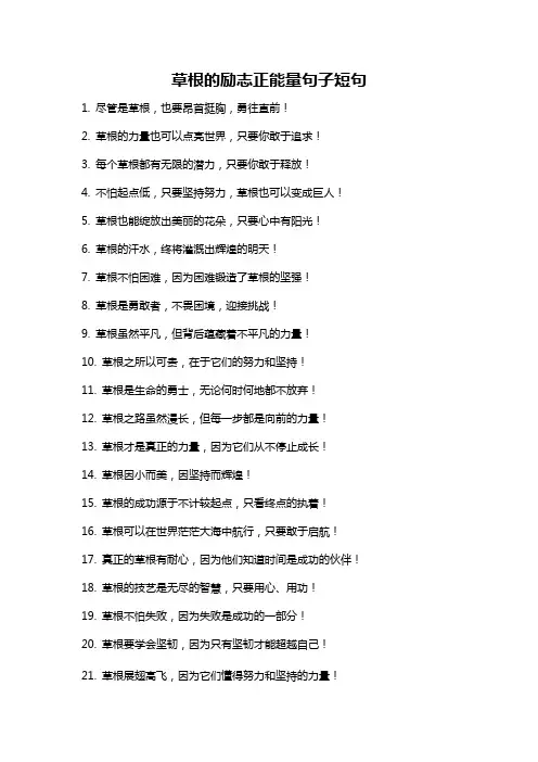 草根的励志正能量句子短句