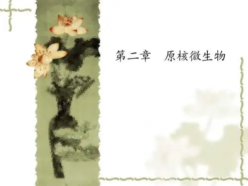 第2章 原核微生物