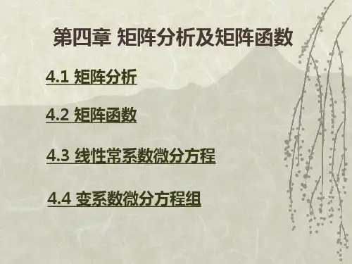 第四章  矩阵分析及矩阵函数