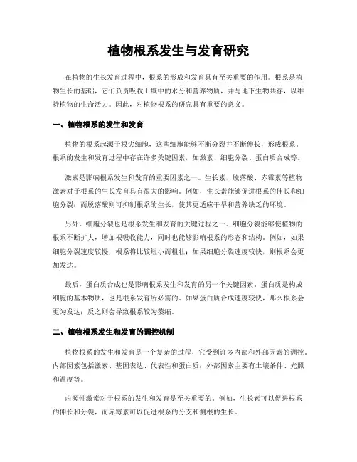植物根系发生与发育研究