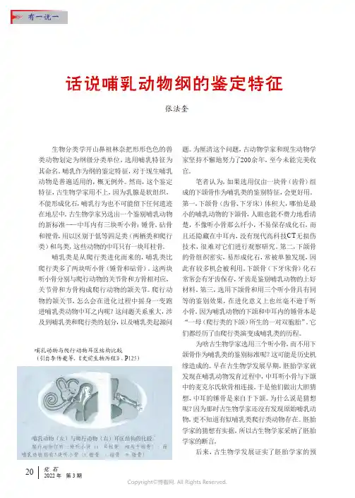 话说哺乳动物纲的鉴定特征