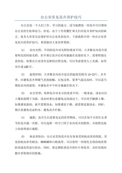 办公室常见花卉养护技巧