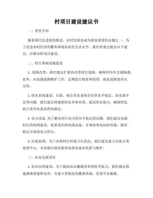 村项目建设建议书