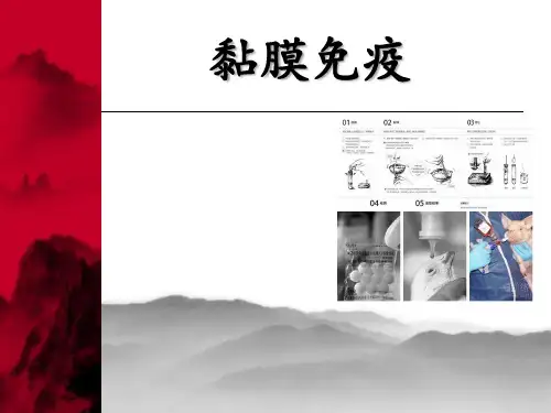 黏膜免疫