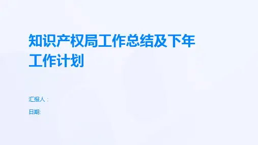 知识产权局工作总结及下年工作计划