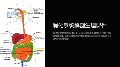 消化系统解剖生理课件
