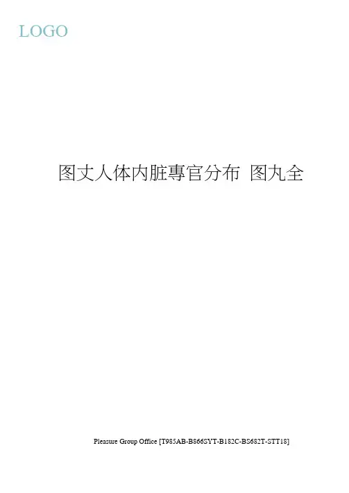 图文人体内脏器官分布图大全