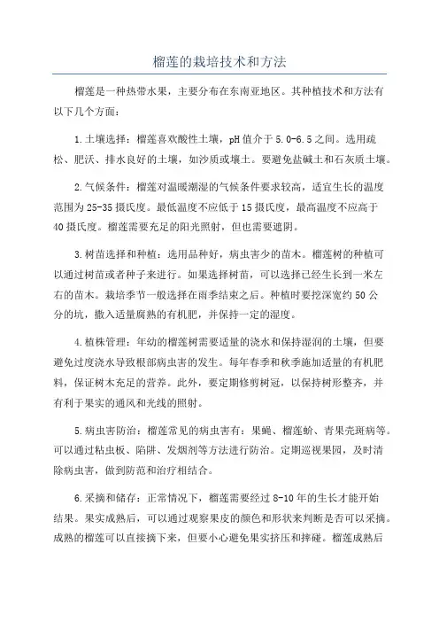 榴莲的栽培技术和方法