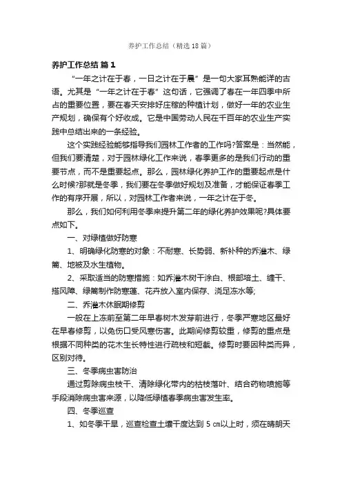 养护工作总结（精选18篇）