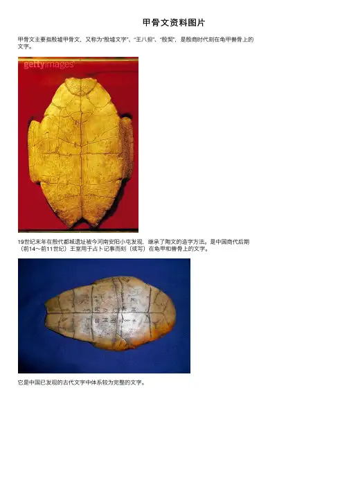 甲骨文资料图片