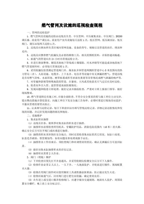燃气管网及设施的巡视检查规程