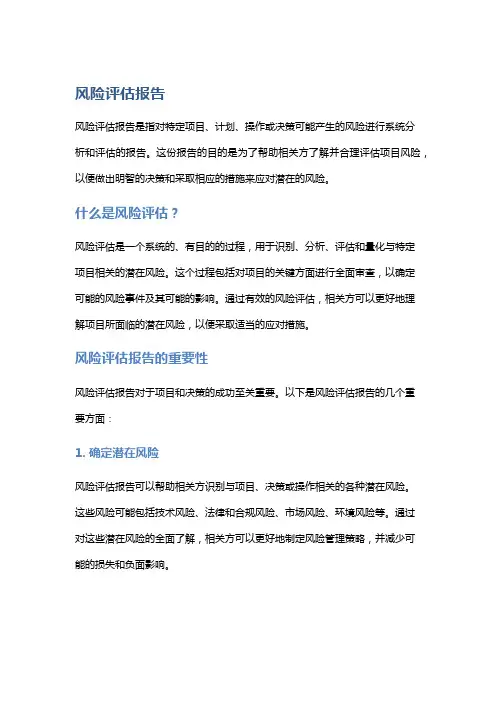 风险评估报告