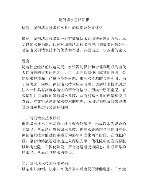 调剖堵水总结汇报