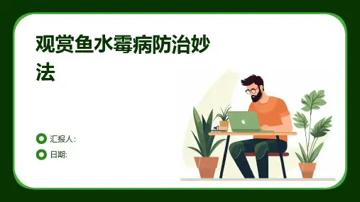观赏鱼水霉病防治妙法
