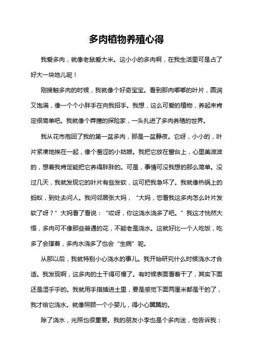 多肉植物养殖心得