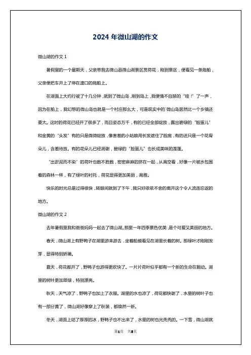 2024年微山湖的作文