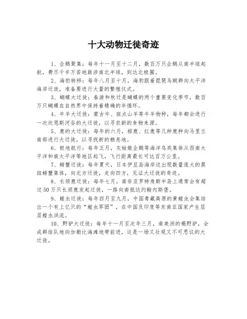 十大动物迁徙奇迹