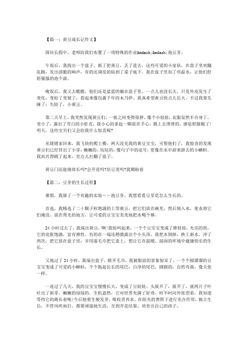 黄豆芽的生长过程作文  八篇