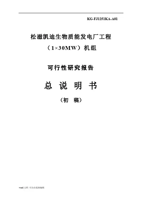 松滋凯迪生物质能发电厂工程(1×30MW)机组总说明书