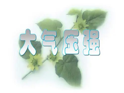 华东师大版八年级科学上册 2.3大气压强