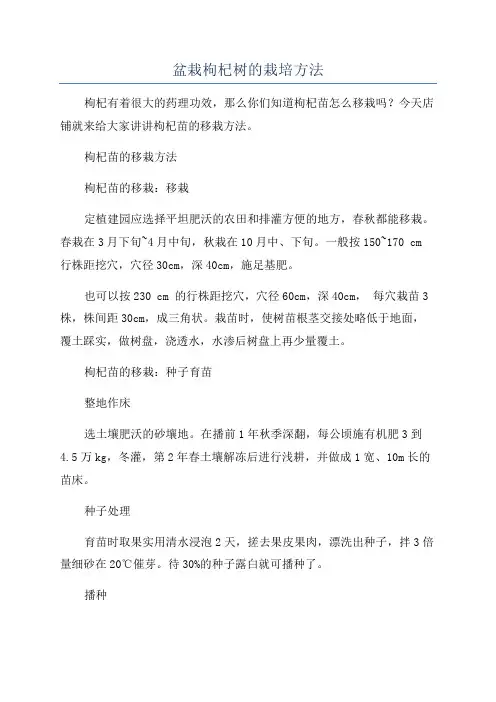 盆栽枸杞树的栽培方法