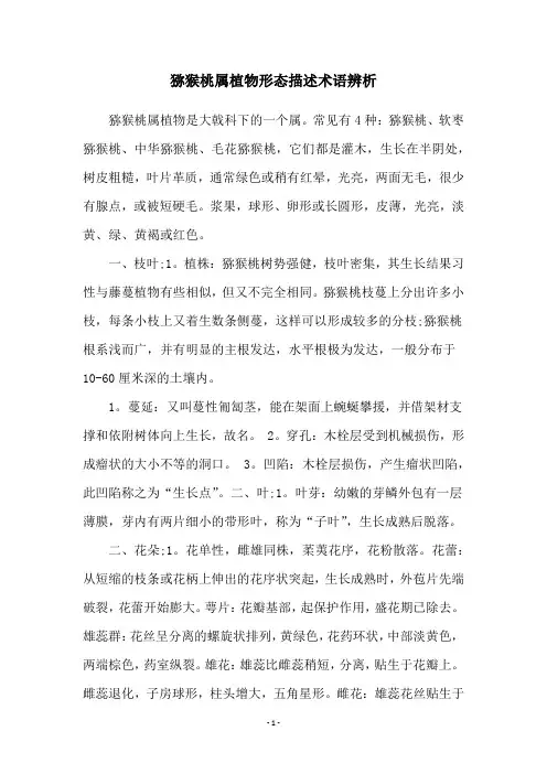 猕猴桃属植物形态描述术语辨析