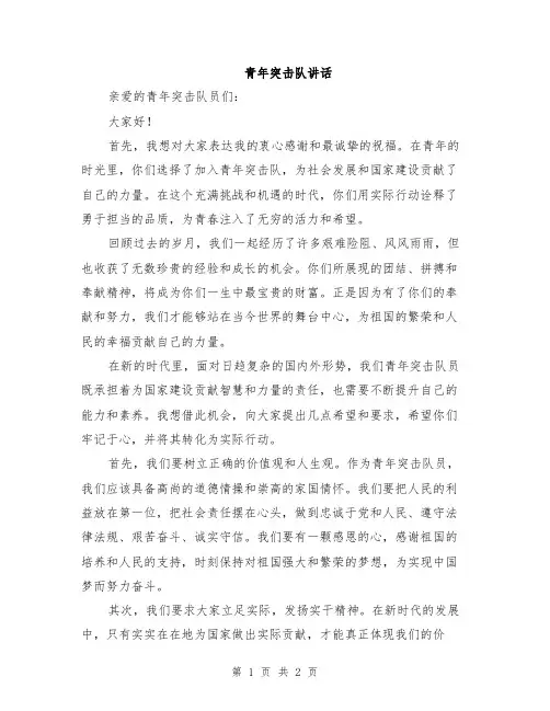 青年突击队讲话