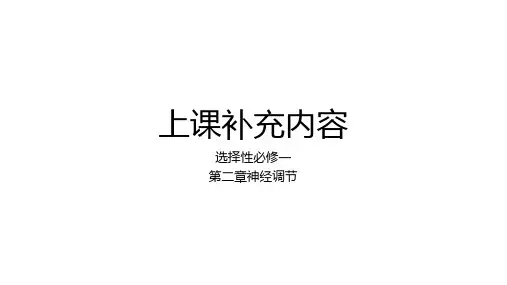 高三生物一轮复习课件第24讲神经调节