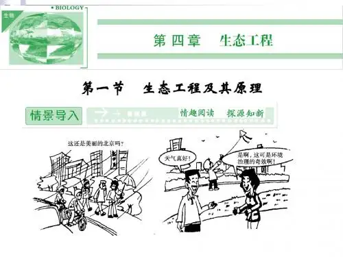 4.1 生态工程及其原理 同步课件(苏教版选修3)