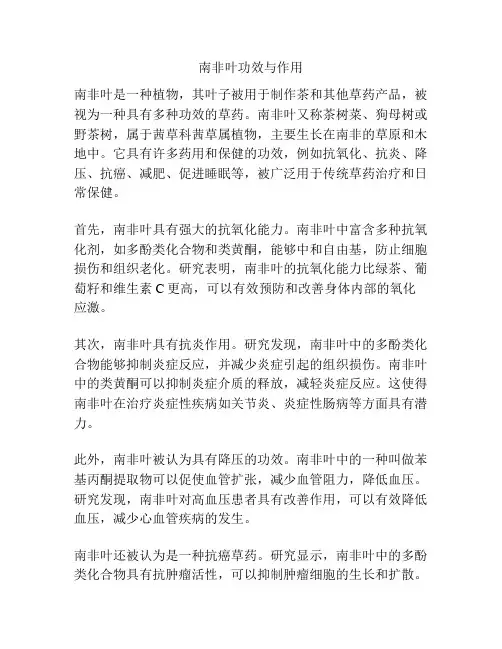 南非叶功效与作用