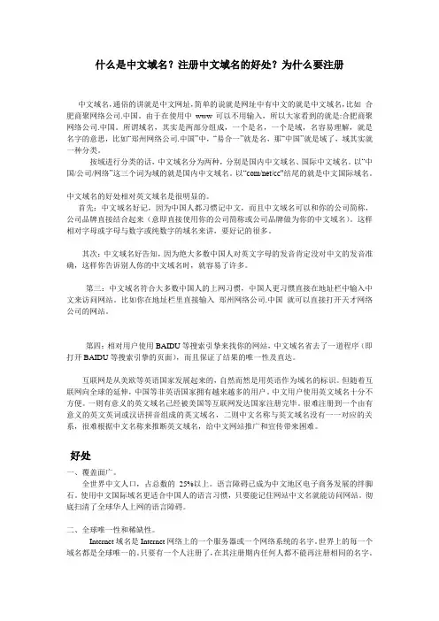 中文域名  特点